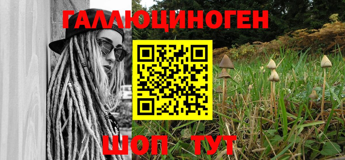 Чебоксары  Галлюциногенные грибы Psilocybe  Вход с VPN 